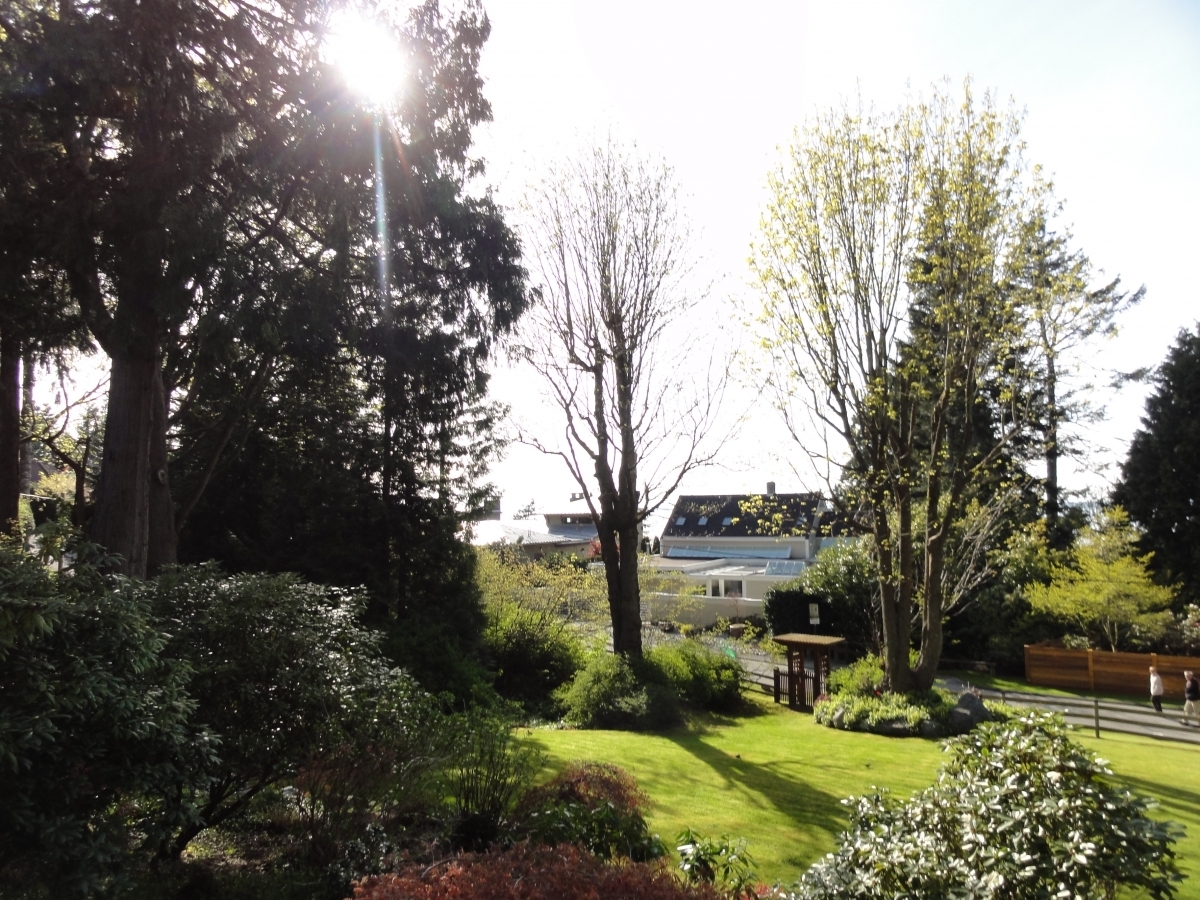 Crescent Drive front lawn SW.JPG at 2540 Crescent Drive, Crescent Bch Ocean Pk., South Surrey White Rock